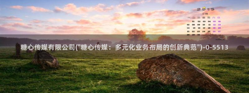 糖心?：糖心传媒有限公司(\