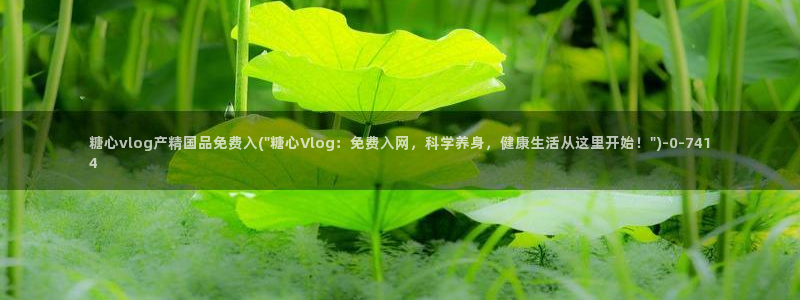 糖心vlo9：糖心vlog产精国品免费入(\