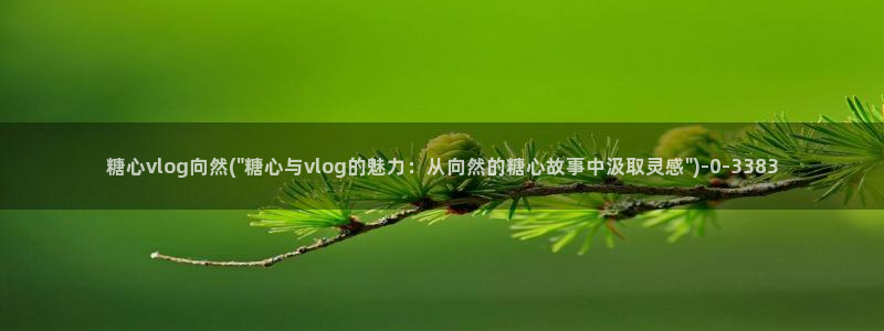 糖心vlgo什么时候创办的