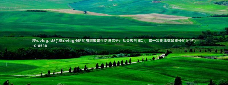 糖心vlgo免费进入：糖心vlog小晗(\